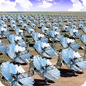 Solar Field